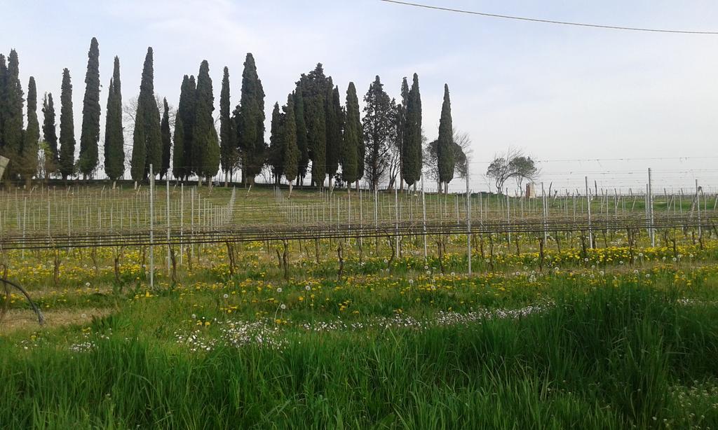 Casa Margherita Lonato Εξωτερικό φωτογραφία